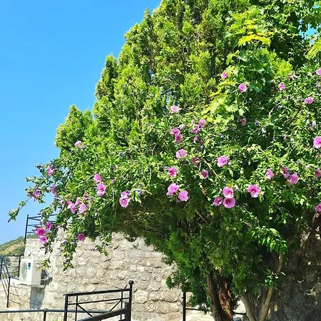 Villa Nera Budva