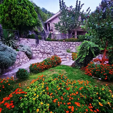 Villa Nera Budva